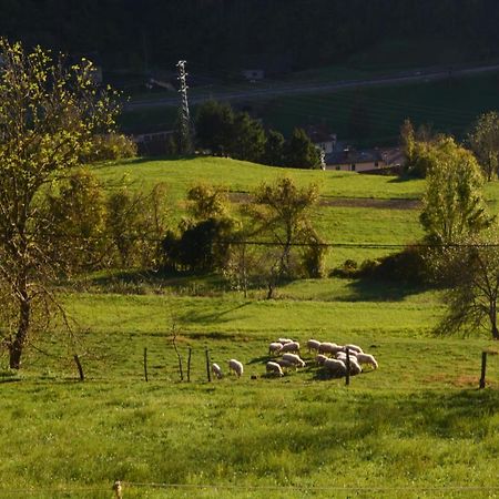Apartma Zala Most na Soči Eksteriør billede